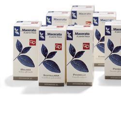 POTENTILLA TINTURA MADRE 50 ML - Farmadillo