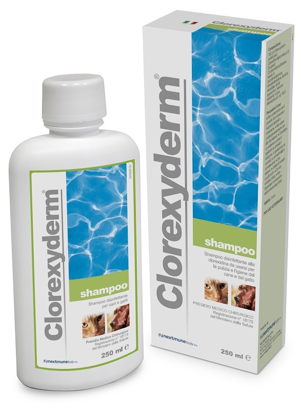 CLOREXYDERM SHAMPOO 250 ML - Farmadillo