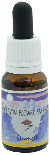 STRENGTH ESSENZA 15 ML 1 PEZZO - Farmadillo