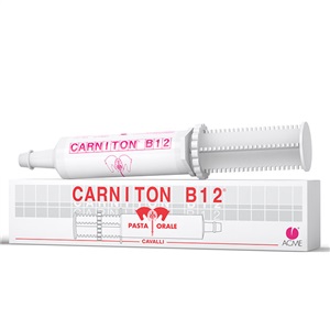 CARNITON B 12 PASTA SIRINGA 100 G - Farmadillo