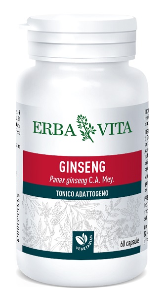 GINSENG 60 CAPSULE - Farmadillo