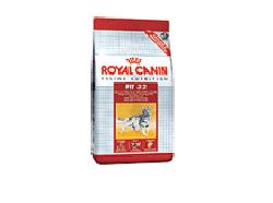 FELINE HEALTH NUTRITION REGULAR FIT 2 KG - Farmadillo