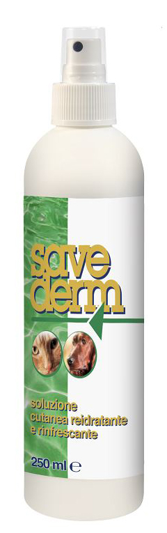 SAVEDERM SOLUZIONE 250 ML - Farmadillo