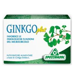 GINKGO PLUS 30 CAPSULE - Farmadillo