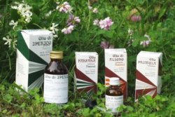 RAEMIL PRIMULA OLIO 25 ML - Farmadillo
