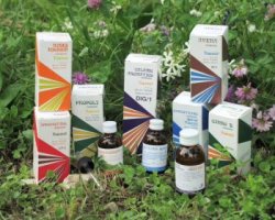 RAEMIL PROPOLI COMPOSTO 15 ML - Farmadillo
