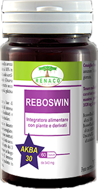 REBOSWIN 60 CAPSULE - Farmadillo