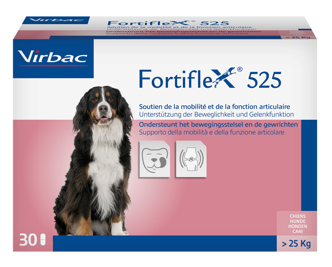 FORTIFLEX 525 MG 30 COMPRESSE APPETIBILI - Farmadillo