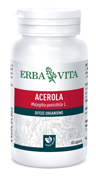 ACEROLA 60 CAPSULE 550 MG - Farmadillo