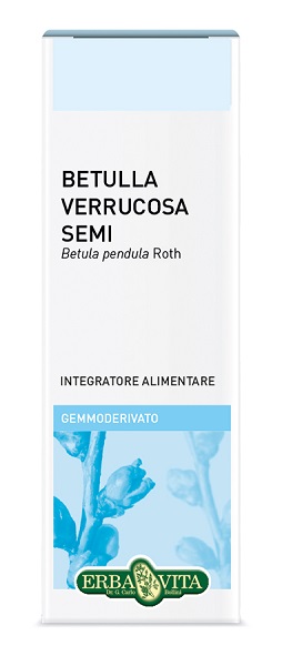 GEMMODERIVATO BETULLA SEMI 50 ML - Farmadillo