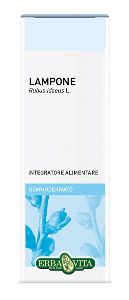 GEMMODERIVATO LAMPONE 50 ML - Farmadillo
