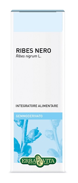 GEMMODERIVATO RIBES NERO 50 ML - Farmadillo