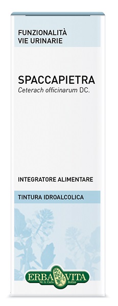 SPACCAPIETRA TINTURA IDROALCOLICA 50 ML EBV - Farmadillo