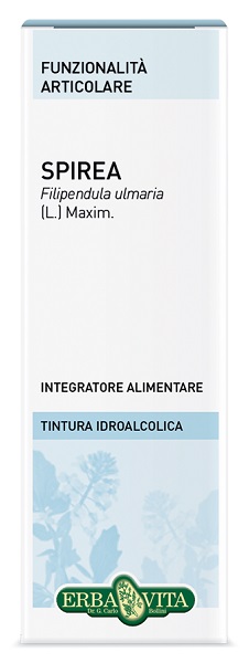 SPIREA ULMARIA TINTURA IDROALCOLICA 50 ML EBV - Farmadillo