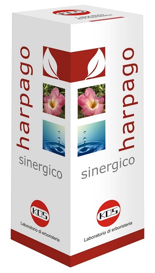 HARPAGO SINERGICO GOCCE 100 ML - Farmadillo