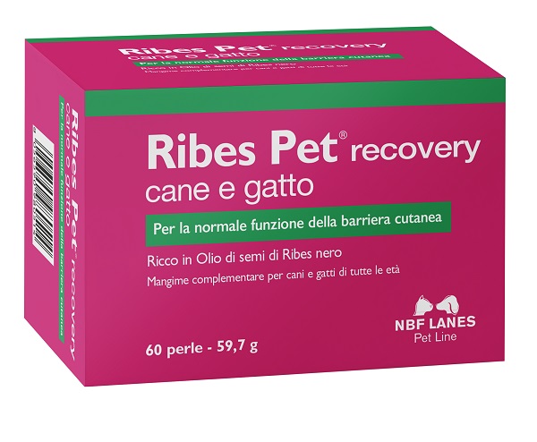 RIBES PET RECOVERY BLISTER 60 PERLE - Farmadillo