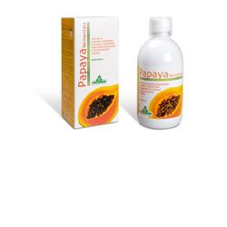 PAPAYA FERMENTATA 500 ML - Farmadillo