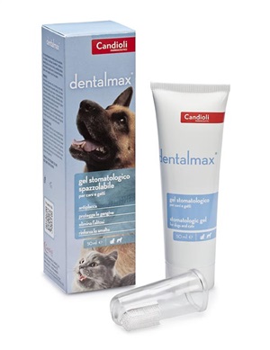DENTALMAX GEL STOMATOLOGICO 50 ML - Farmadillo