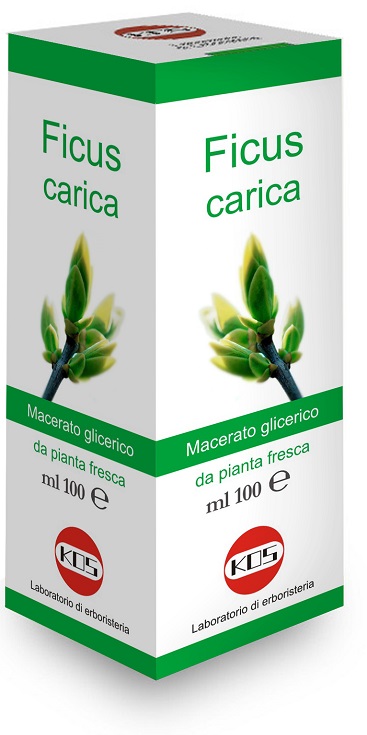 FICUS CARICA MACERATO GLICERICO 100 ML - Farmadillo