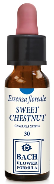 SWEET CHESTNUT ORIGINAL 10 ML - Farmadillo