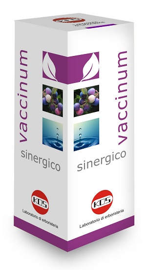 VACCINIUM SINERGICO GOCCE 100 ML - Farmadillo