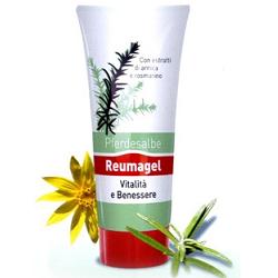 RECOVER GEL PFERDESALBE 200 ML - Farmadillo