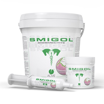 SMIGOL PASTA SIRINGA 100 G - Farmadillo