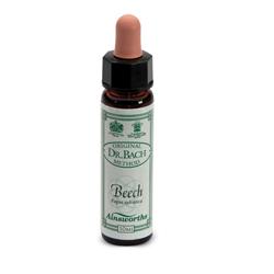 AINSWORTHS BEECH 10ML - Farmadillo