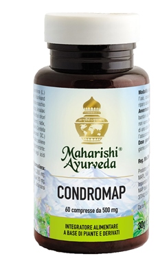 CONDROMAP 60 COMPRESSE - Farmadillo
