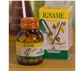 IGNAME ERBE 60TAV - Farmadillo
