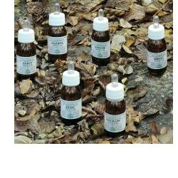 KA PLANTA OLIO MASSAGGIO 30 ML - Farmadillo