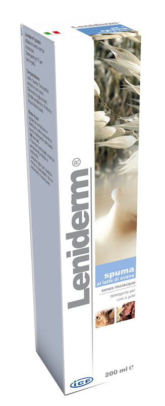 LENIDERM SPUMA DETERGENTE 200 ML - Farmadillo