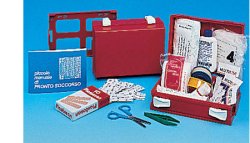 CASSETTA PRONTO SOCCORSO MINIKIT PER CASA, UFFICIO E TEMPO LIBERO. CONTENITORE IN ABS ANTIURTO E CON SUPPORTO PER IL FISSAGGIO ALLA PARETE - Farmadillo