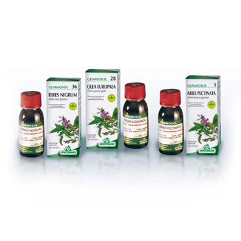 GEMMOSOL 46 TIGLIO ARGEN 50ML - Farmadillo