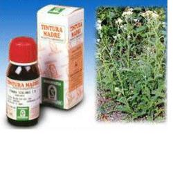 ACHILLEA 51 TINTURA MADRE 50 ML - Farmadillo