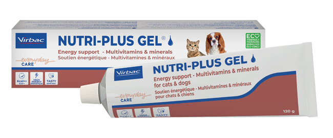 NUTRIPLUS GEL PASTA ORALE 120 G - Farmadillo