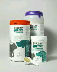 GLAZARDERM FLACONE 500 G - Farmadillo