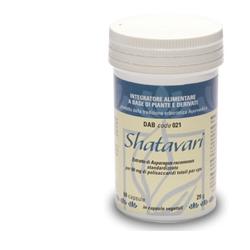 SHATAVARI+ DAB 021 60 CAPSULE - Farmadillo