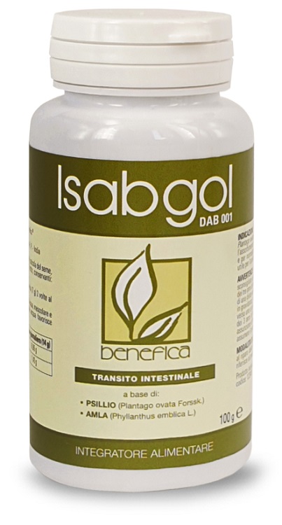 DAB 001 ISABGOL 100 G - Farmadillo