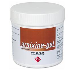 ARNIXINE GEL 750 ML - Farmadillo