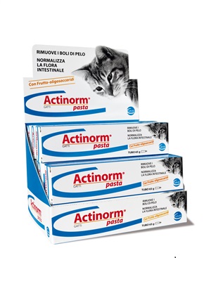 ACTINORM PASTA GATTI 65 G - Farmadillo