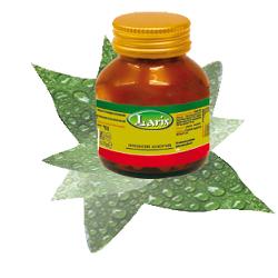 SPIRULINA 60 CAPSULE - Farmadillo