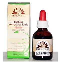 FITOBLASTO BETULLA VERRUCOSA LINFA 50 ML - Farmadillo