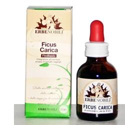 FITOBLASTO FICUS CARICA 50 ML - Farmadillo