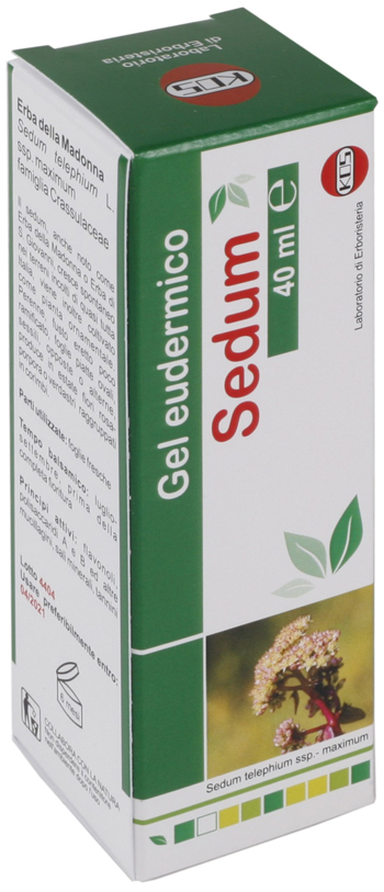 SEDUM GEL EUDERMICO 40 ML - Farmadillo
