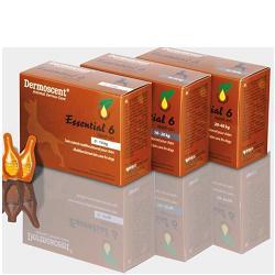 ESSENTIAL 6 SPOT ON CANE 20/40 KG 4 PIPETTE 2,4 ML - Farmadillo