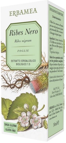 RIBES NERO 50 ML - Farmadillo
