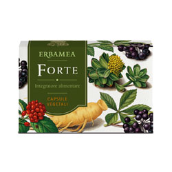 FORTE 24 CAPSULE - Farmadillo