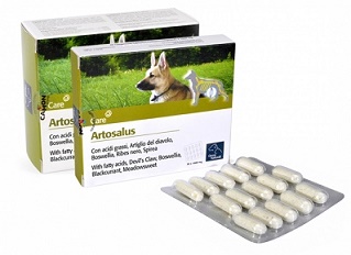 ARTOSALUS COMPRESSE 30 COMPRESSE - Farmadillo