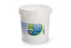 GASTROCURE SECCHIELLO 2,6 KG - Farmadillo